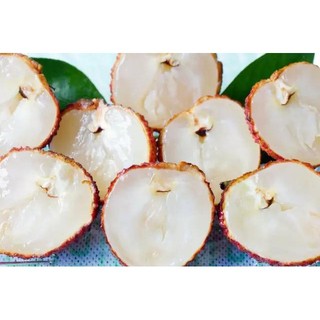 Cây giống vải không hạt )