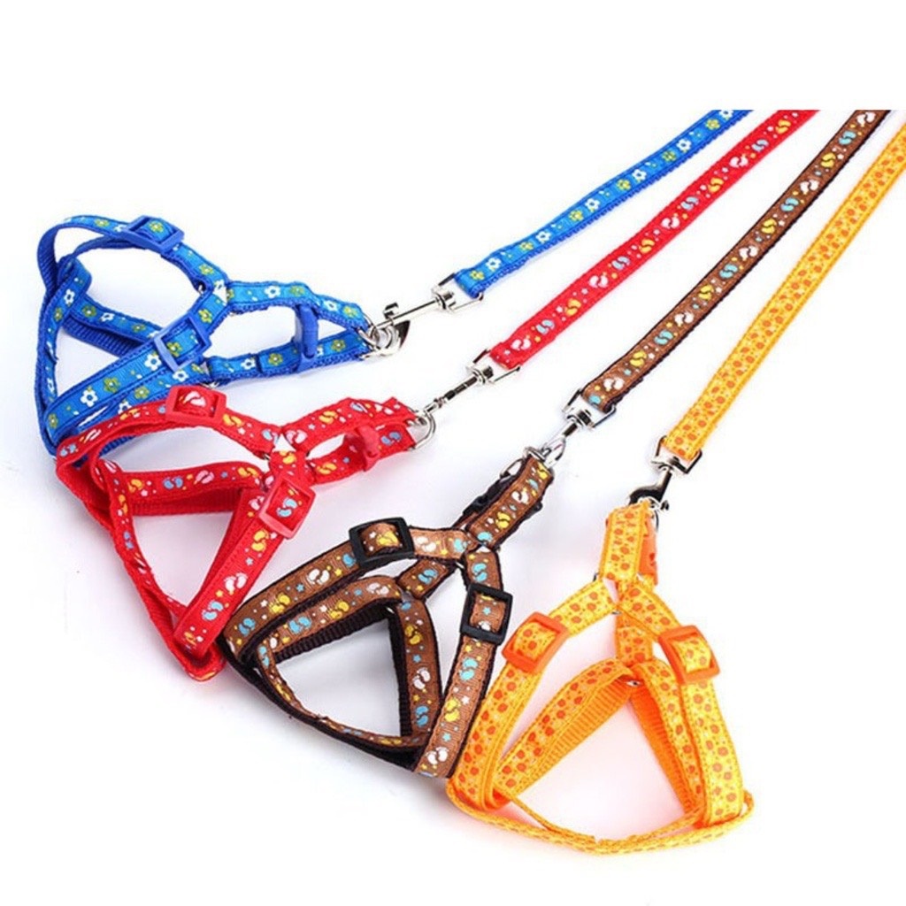 Dây Dắt Kèm Yếm Chuông Zichen Bản 1.0cm Và 1.5cm Cho Thú Cưng - BomPet