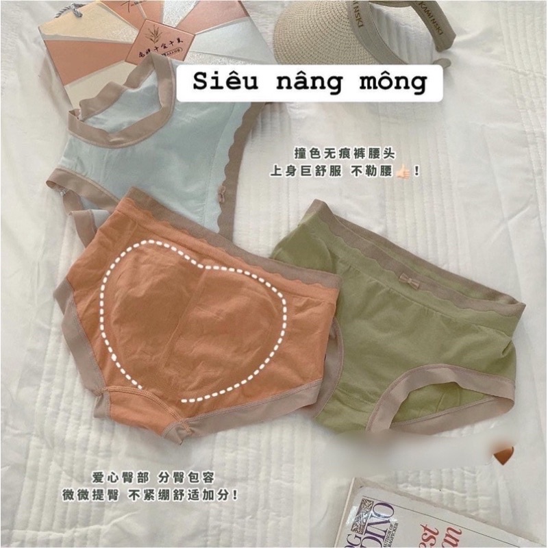 SÉT 8 QUẦN LÓT NHẬT FULL HỘP