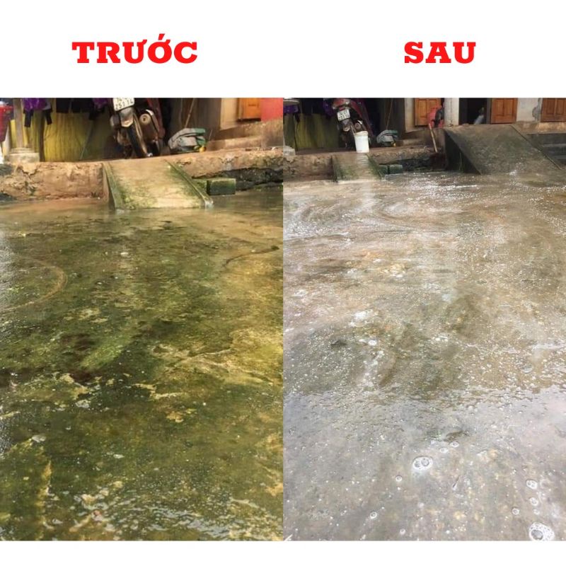 01kg Bột tẩy rong rêu sân nền xi măng, bê tông, tường gạch,...