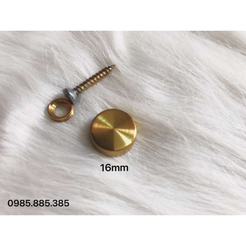 COMBO 10/20/30/40/50 Chụp vít inox mạ vàng PVD SIZE 16mm