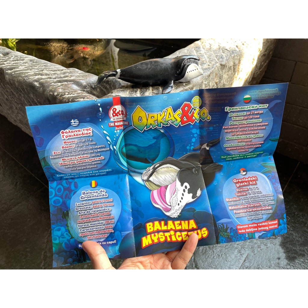 ✨ins Ready Stock Genuine Version Pinch Le Soft Rubber Animal Oversized Blind Bag Surprise Children Cognitive Toy