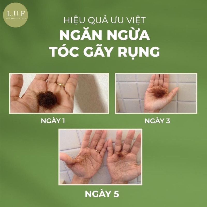 Dầu gội đầu LUF Ginger anti-hair loss shampoo, gừng tươi, nhân sâm, chống rụng tóc, suôn mượt tóc, giảm gàu 500ml