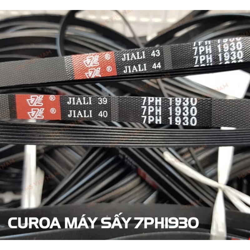 Dây curoa máy sấy electrolux 7PH 1930 dùng chung cho các model