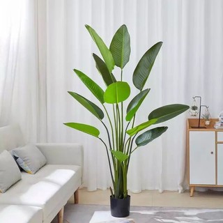 Cây chuối giả 2m