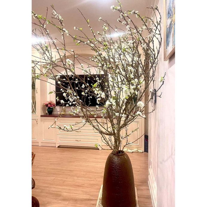 1 BÓ MẬN 10 CÀNH TO VỀ CHƠI TẾT