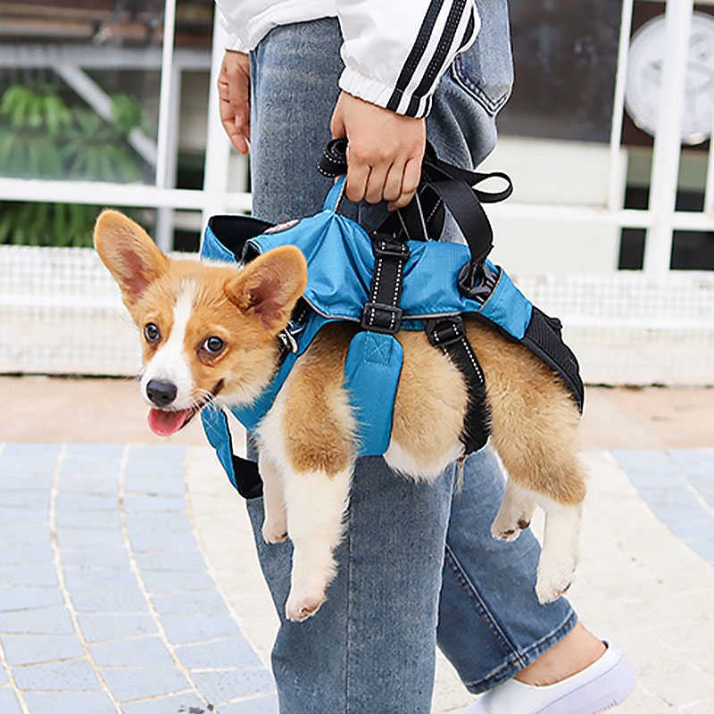 HamshMoc Ba Lô Địu Thú Cưng Phía Trước Đa Năng Thoáng Khí Tùy Chỉnh Tiện Dụng Cho Du Lịch / Leo Núi / Cắm Trại