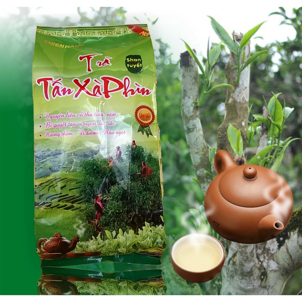 Mới 05/2023🍵 Trà shan tuyết Tấn Xà Phìn đặc sản. Trà cổ thụ Hà Giang chuẩn thơm ngon, giá gốc