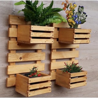 Kệ gỗ gắn tường trang trí, kệ để cây cảnh