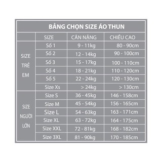Áo thun du lịch Đà Nẵng, có size cho bé