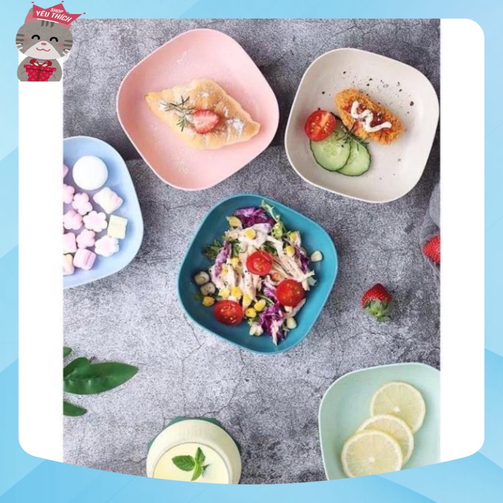 Combo 2 Đĩa chất liệu lúa mạch an toàn, đựng trái cây mang đi du lịch, dã ngoại tiện lợi không lo độc hại
