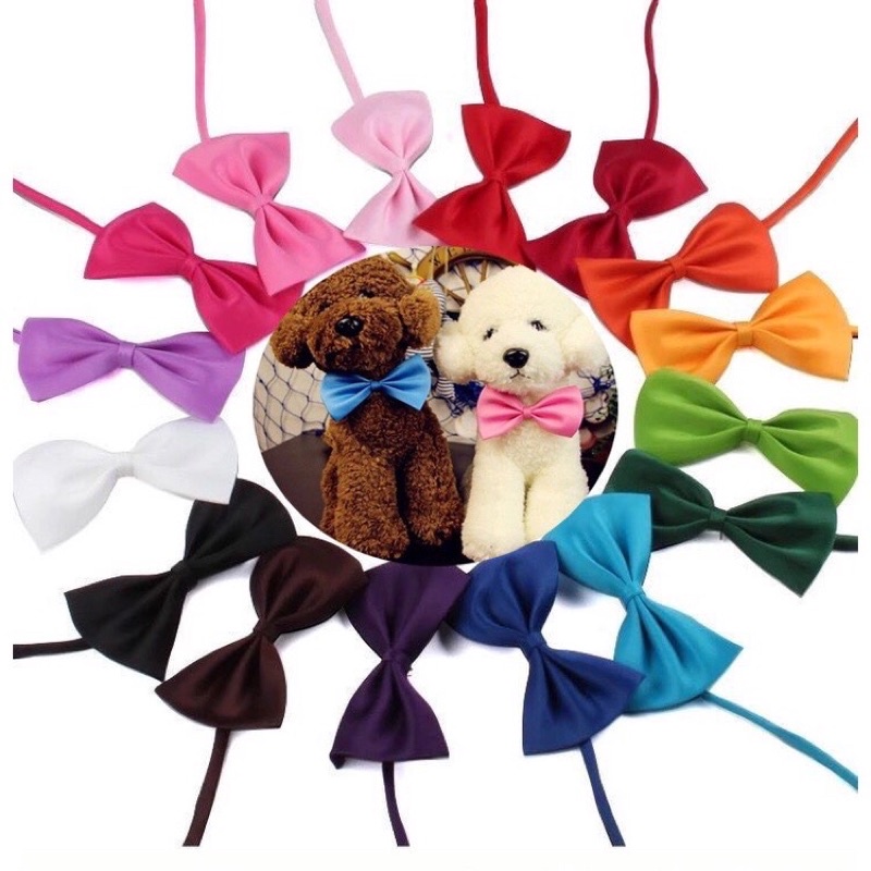 Nơ đeo cổ cho chó mèo thiết kế thời trang nhiều màu sắc