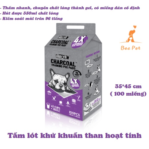TÃ LÓT THAN HOẠT TÍNH ABSORB CHÍNH HÃNG - NGUYÊN TÚI