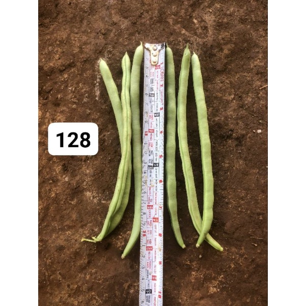 Đậu cove Sen Hồng SH128 gói 100gam