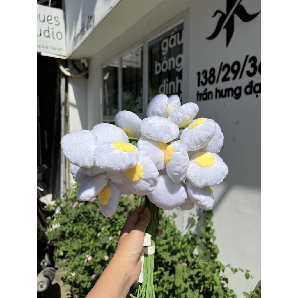 Hoa Trứng Gà đáng yêu, thân 30cm - gấu bông đình may