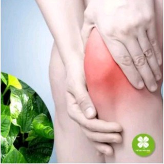 Lá Lốt Khô 1 Ký