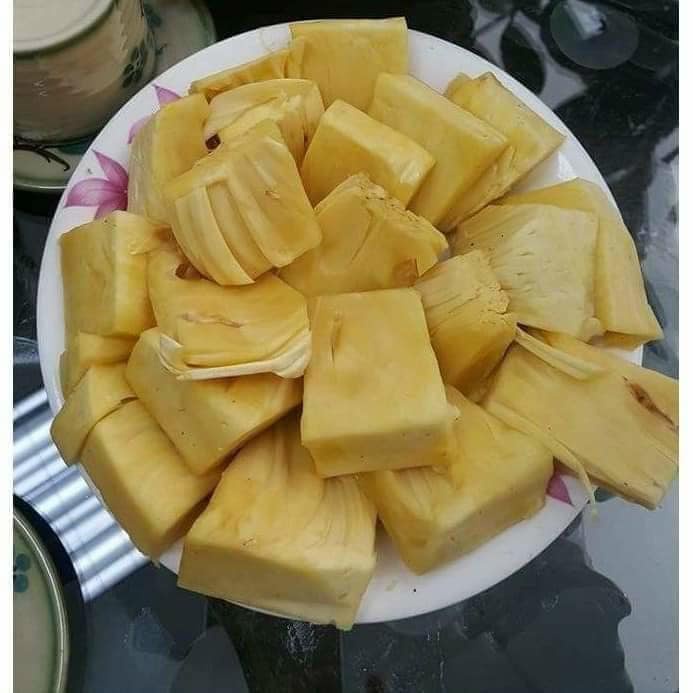 Cây mít không hạt không sơ siêu sớm