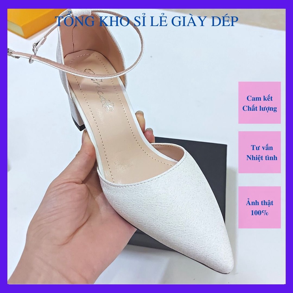 Giày cao gót nữ mũi nhọn gót vuông, giày bít hậu HL0012