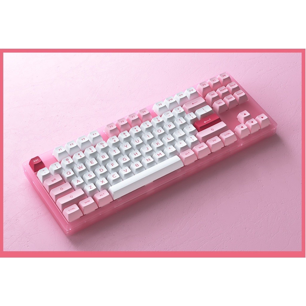 Bàn phím cơ AKKO ACR87 Hotswap / RGB / AKKO CS Switch Jelly