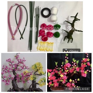Combo nguyên liệu làm cây đào bonsai