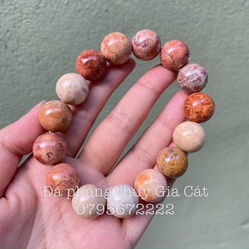 Vòng tay đá san hô hoá thạch triệu năm chuẩn vip kiểm định