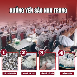 Combo yến sào tinh chế thượng hạng + chân yến tinh chế nguyên chất