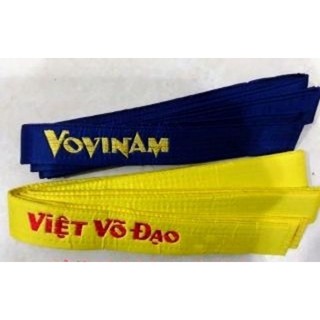 Đai Thêu Vovinam