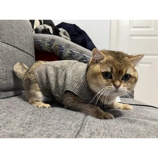VEST dành cho thú cưng (vest, gile dành cho chó mèo)