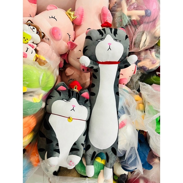 Mèo hoàng thượng ôm