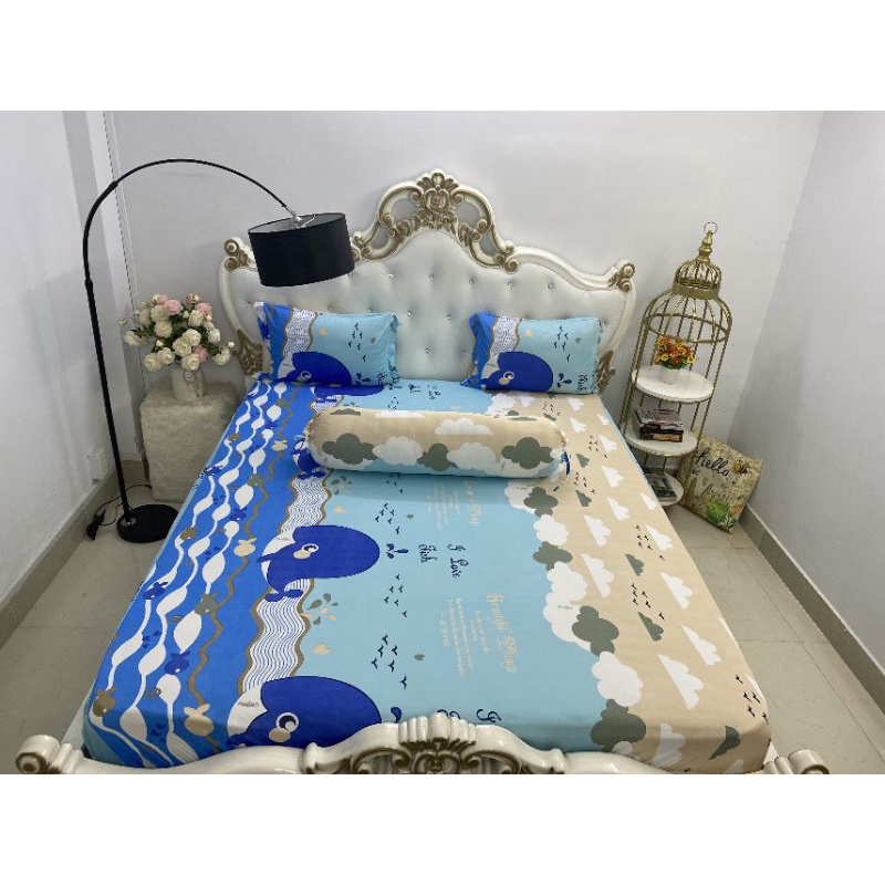 Bộ ga mền thun hàn quốc 5 món( 1 drap+ 2 vỏ gối nằm+ 1 vỏ gối ôm+ 1 mền)