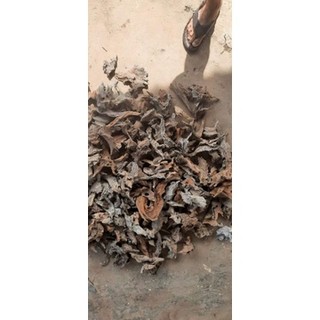 lũa mảnh(500g) dùng trang trí tiểu cảnh,bonsai,terrarium...