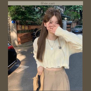 Áo Croptop Len Tay Dài Ulzzang Thêu
