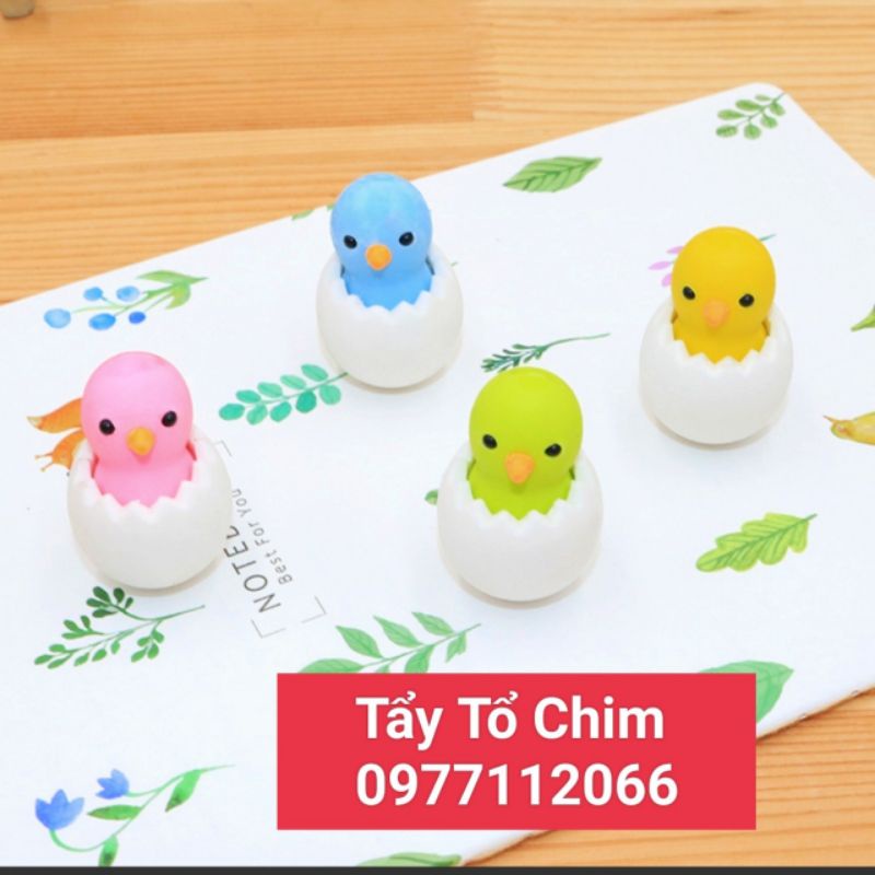 Tẩy gôm Chim Non (vô cùng đáng yêu)