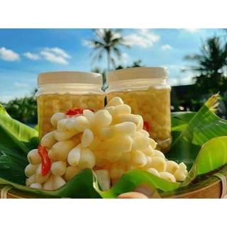 CỦ KIỆU HUẾ NGÂM ĐƯỜNG