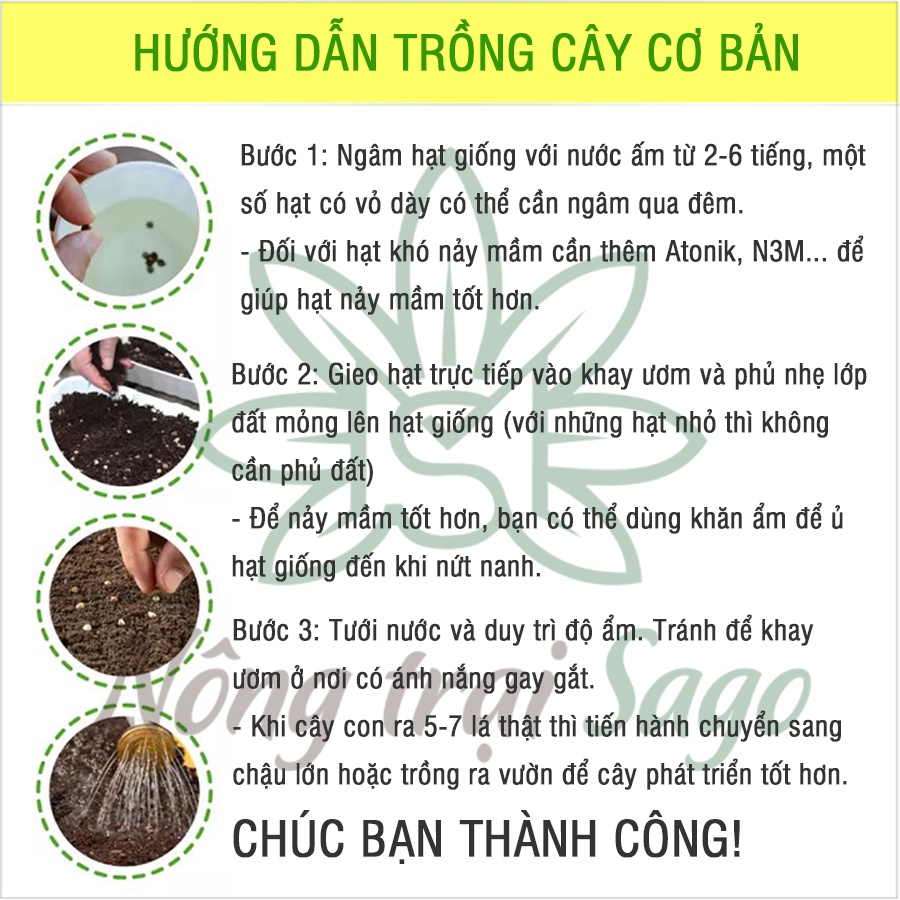 Hạt giống họ Đậu trồng quanh năm, nảy mầm tốt, sinh trưởng khỏe, thương hiệu Rạng Đông - Nông Trại Sago