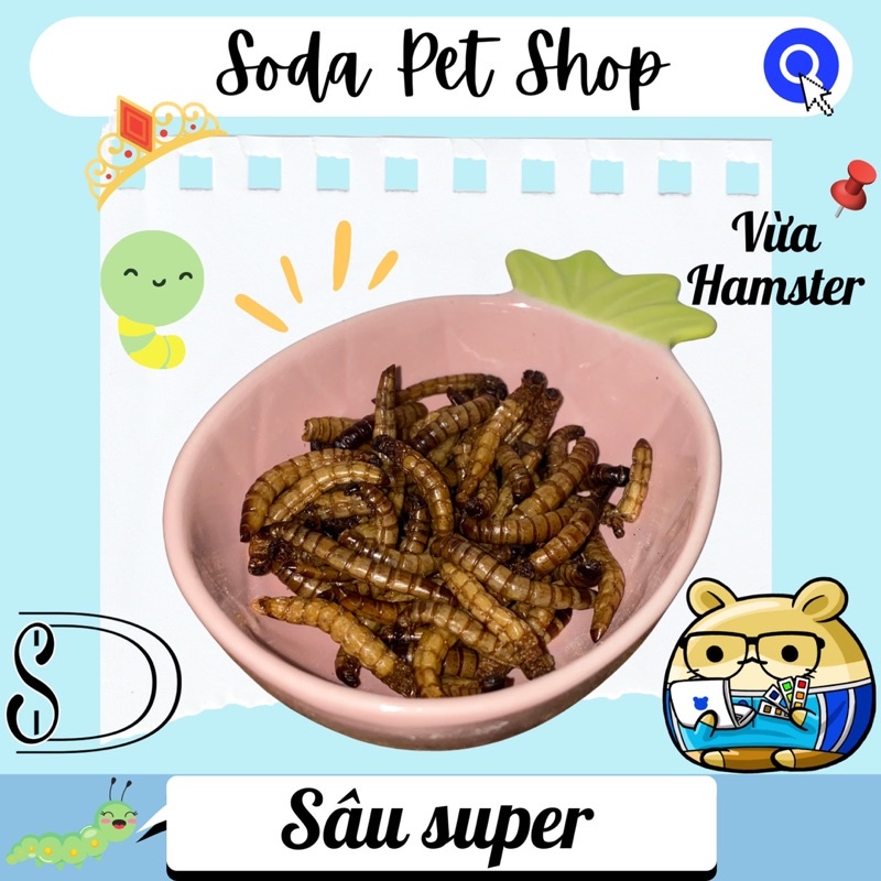Sâu Rang Super Cho Hamster/Thú Nhỏ