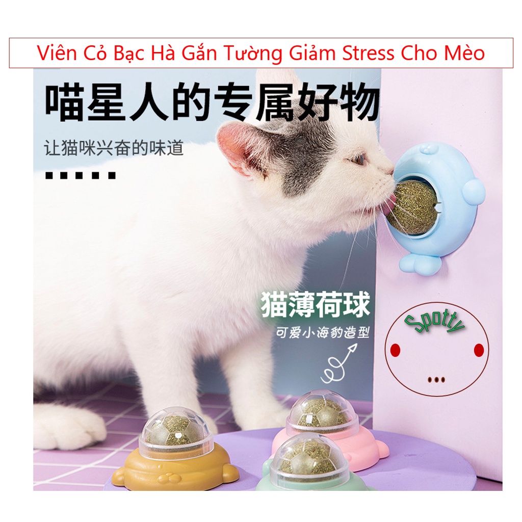 Viên Cỏ Bạc Hà Gắn Tường Giảm Stress Cho Mèo | cỏ mèo | đồ chơi cho mèo