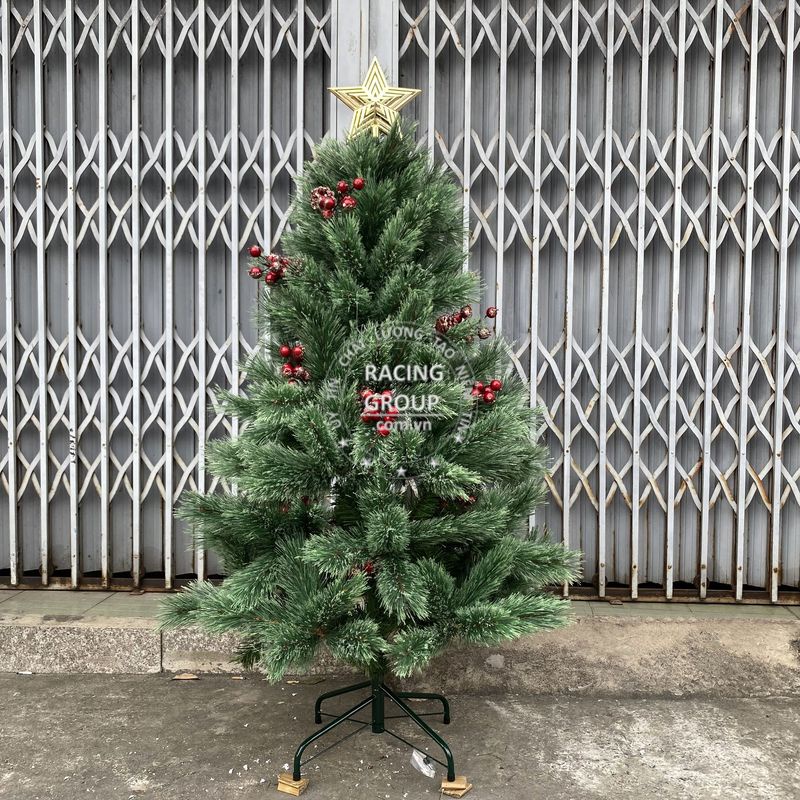 Cây thông noel 1M5 Cước Nở Hoa Gắn Trái Thông Và Gắn Trái Đỏ trang trí giáng sinh cho nhà cửa, phòng ngủ, phòng khách