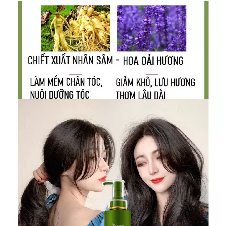 Sữa tắm / Dầu gội với hương thơm nước hoa Meiyanni 500ml