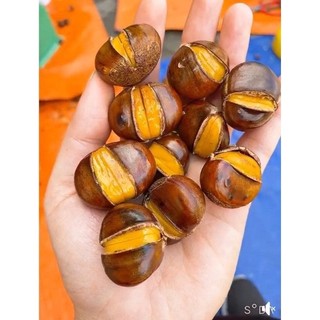 Hcm - ship liền l🌰 hạt dẻ thái lan rang nóng - bao ngon từng hạt 🌰