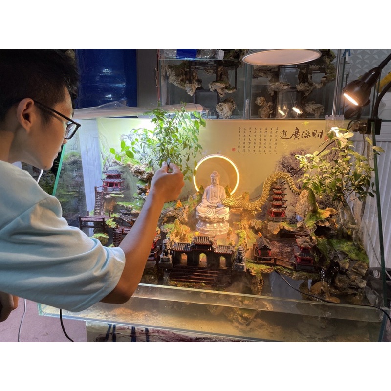 Cổng tam quan trang trí tiểu cảnh, non bộ, sân vườn, bonsai