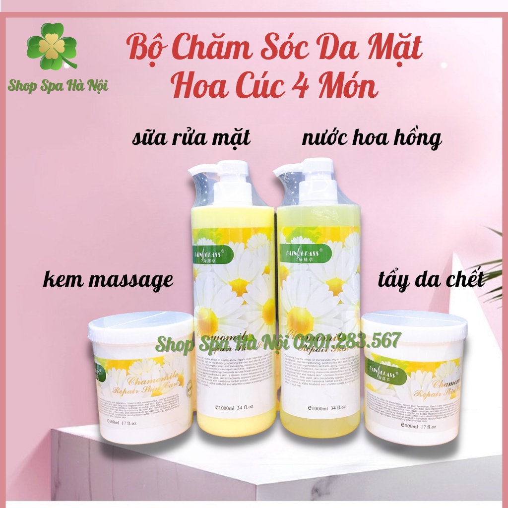 Bộ Chăm Sóc Da Hoa Cúc 4 Món Cho Spa - Kem Massage Mặt , Tẩy Da Chết, Nước Hoa Hồng, Sữa Rửa Mặt Hoa Cúc