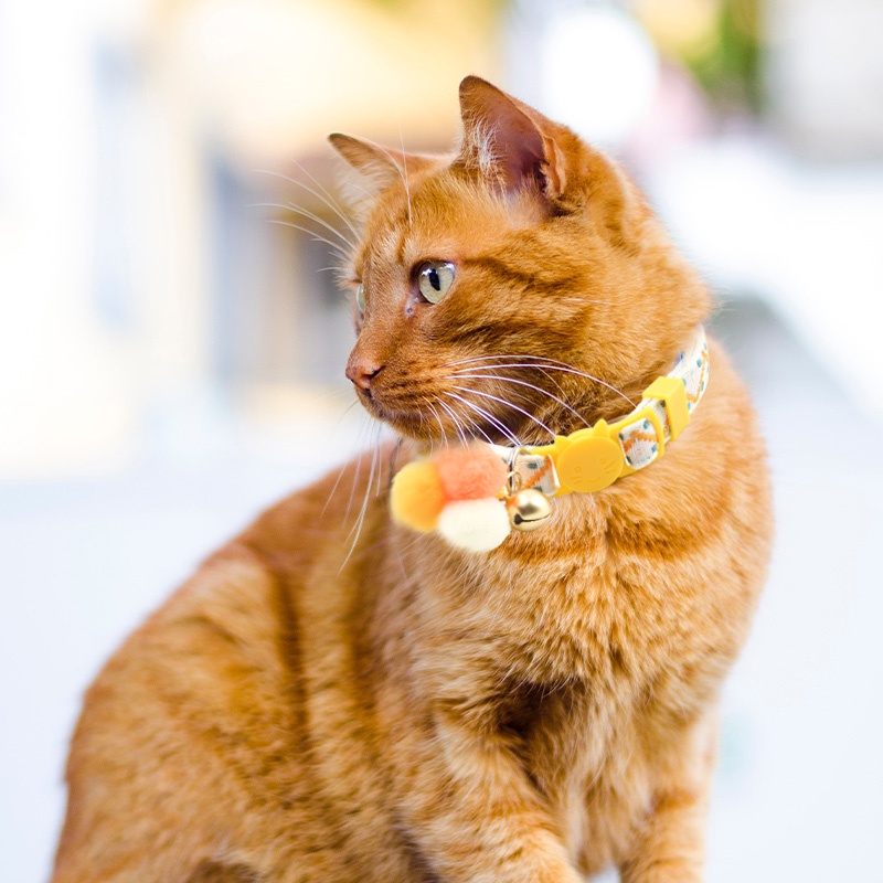 HamshMoc Vòng Cổ Nhẹ Mềm Mại Thoải Mái Bền Bỉ Có Chuông Và Bóng Lông Cho Thú Cưng
