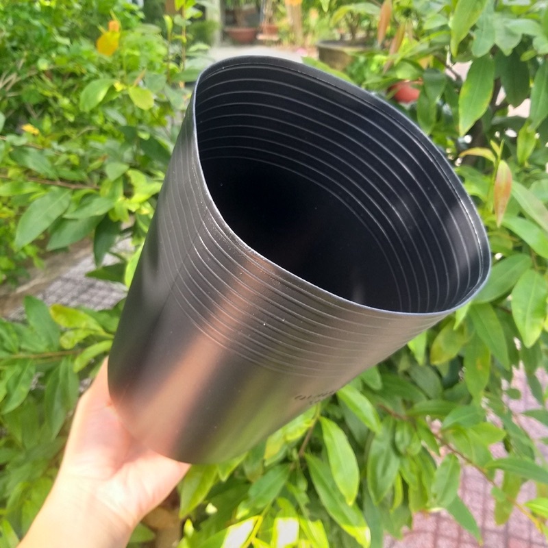 Chậu nhựa đen dáng cao, sâu lòng, ươm sầu riêng C20  chậu C18, chậu C17
