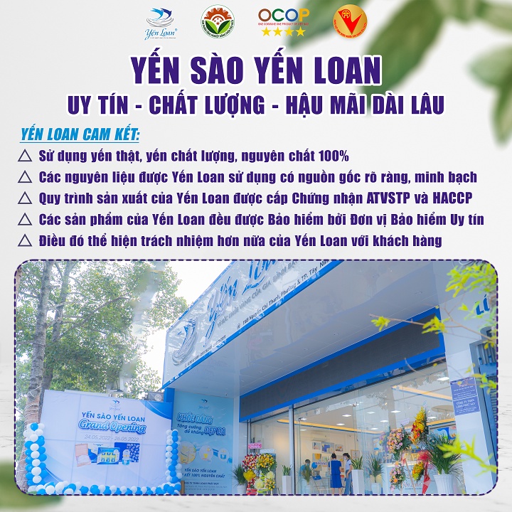 Yến Chưng Sẵn Yến Loan Hũ 3g Chưng Đường Phèn Quảng Ngãi Không Chất Bảo Quản Chăm Sóc Sức Khỏe Cho Trẻ Em