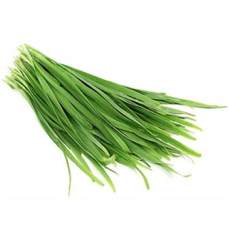 100h -hạt_giống_lá_hẹ