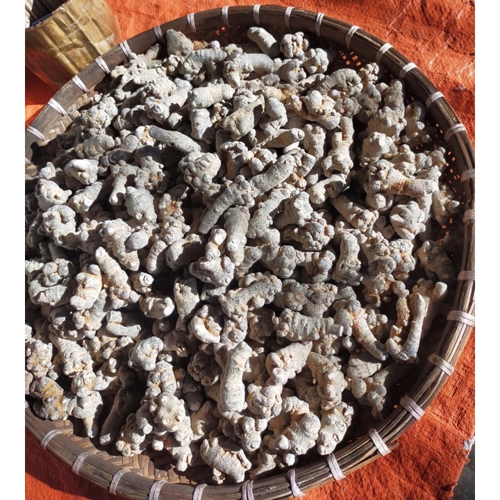 [CHÍNH HÃNG] Củ Tam Thất Bắc Hàng Chuẩn Lai Châu ( Giá Sốc )