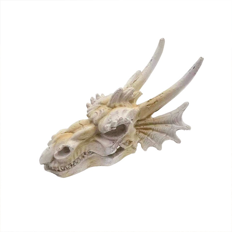 Mô HìNh ĐầU Lâu KhủNg Long Trang Trí Bể Cá