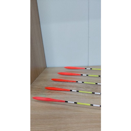 Phao PRO HUNTER  - Phao câu Iso