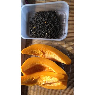 Hạt giống đu đủ ruột vàng ta